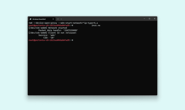 Pro 4G Module - Network Initialization