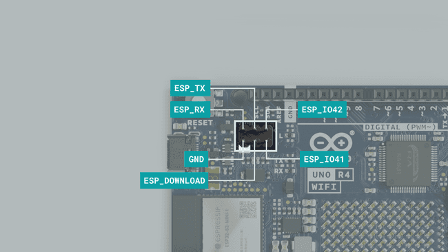 ESP32 Data Pin Header