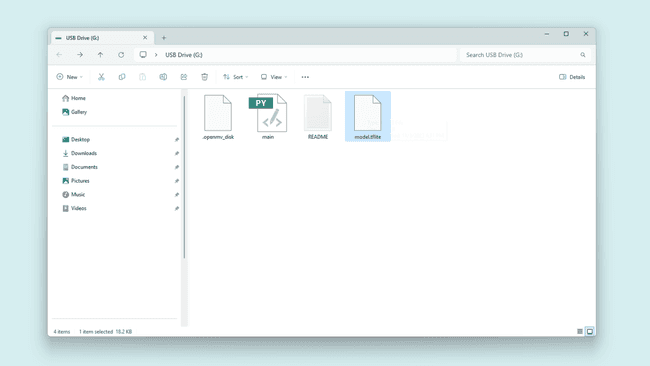 Tflite Machine Learning model in the drive